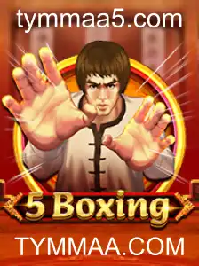 Explorando o Mundo de 5Boxing: Uma Nova Era de Entretenimento Interativo